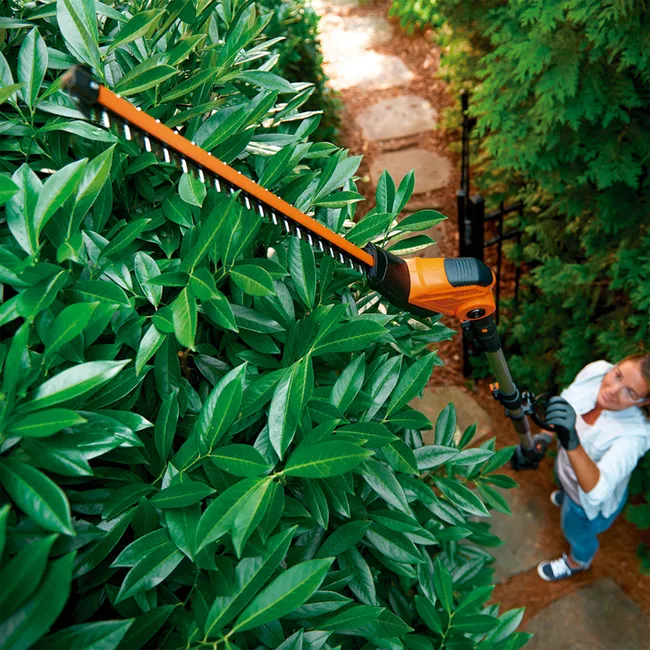 WORX Cortasetos de Pértiga a Batería 20V 45cm (Solo herramienta) - Imagen 3